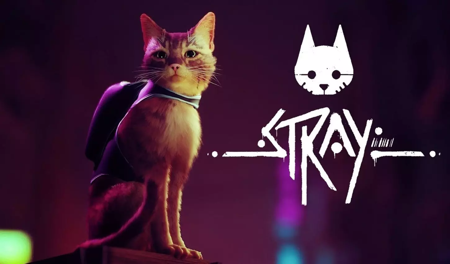 STRAY Gizemli Şehirde Bir Sokak Kedisinin Macerası STRAY Gizemli Şehirde Bir Sokak Kedisinin Macerası