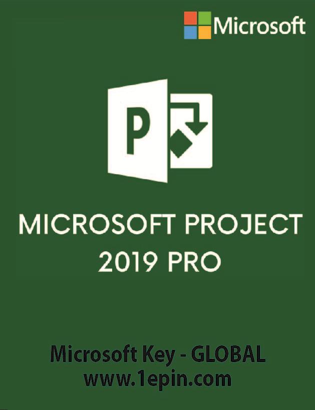 Microsoft Project 2019 Pro