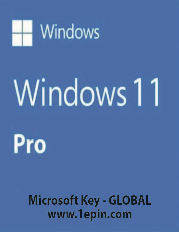 Microsoft Windows 11 Pro