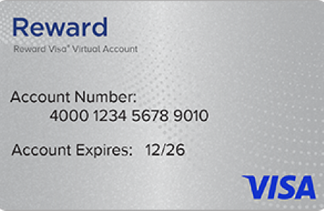 Prepaid Visa eReward USA